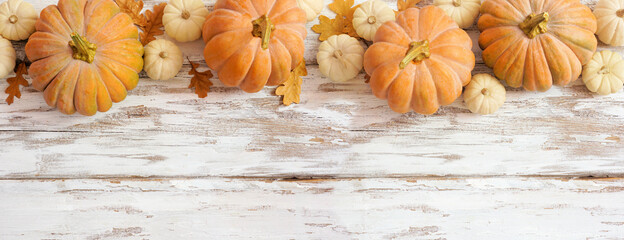 Autumn top border with frosty orange pumpkins on a rustic white wood banner background. Above view...