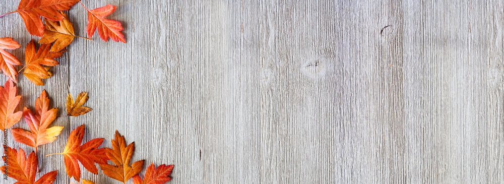 Aufkleber fall leaves corner border over a rustic grey wood banner background. top down view with copy space.