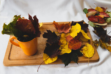 Autumn composition 
