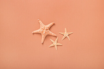 Fototapeta na wymiar Starfishes on a brown background. Beach and vacation concept. Global warming. Banner. Flat lay, top view