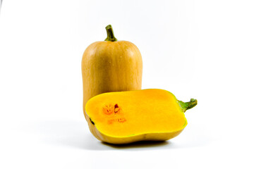 organic butternut squash on white background