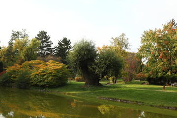 Park, jesień, Żelazowa Wola, liście