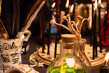 Witchy table arranged with witch craft magic items. Selective focus magic mushrooms. Still life...