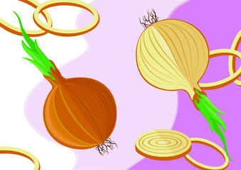 vector image fresh seasonal vegetables onion and onion in the section