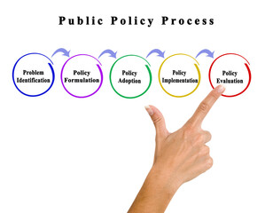 Components of Public Policy Process