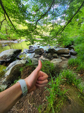 stream in the forest