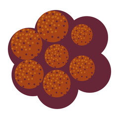 cookies dessert food