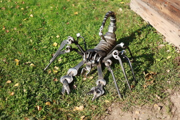 black and white horse