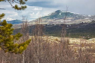 landscape in the mountains Rondane, Norway