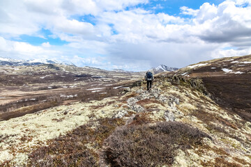 hiking in the mountains Rondane, Norway