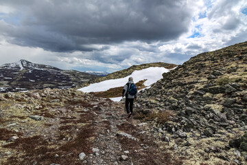 Obraz premium hiker on the top of mountain Rondane, Norway