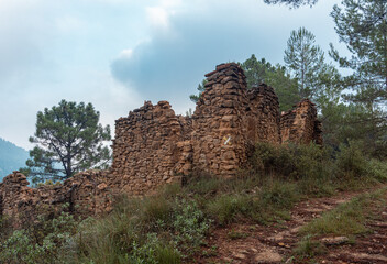 Obraz premium Old abandoned castle in a forest on a cloudy day.