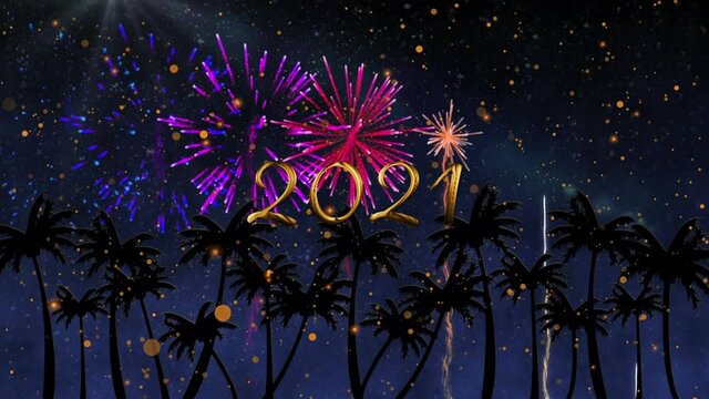 Animation of 2021 text over fireworks and palm trees