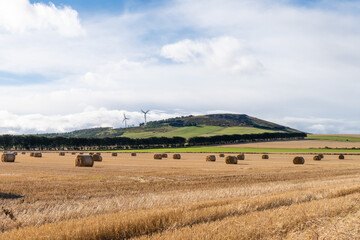 Fototapeta na wymiar Harvest Time in Aberdeen