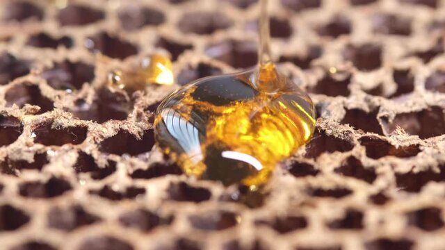 close up of honey pouring from on honey comb 