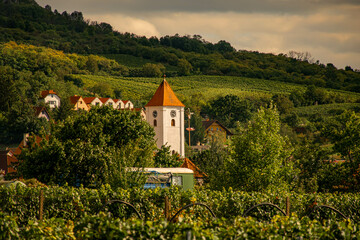 Obraz premium clock tower in a small town in the Czech Republic, vineyard, beautiful Czech landscape, grape harvest, hills in southern moravia in perna