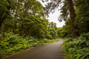Fototapeta na wymiar Hiking at Azores islands, travel destination, nature and landscape.