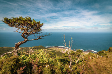 Hiking at Azores islands, travel destination, nature and landscape.