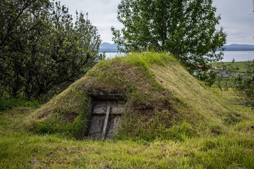 A traditional icelandic turf cellar with wooden door, rooftop covered with moss and grass.