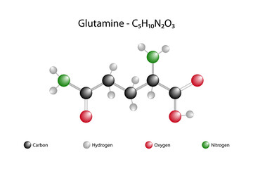 Molecular formula of glutamine. Glutamine is one of the 20 amino acids that make up proteins.
