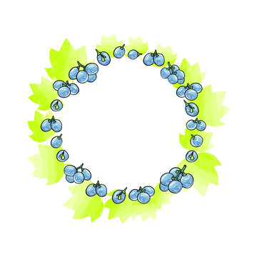 Set of grapes colored wreath sketch. Hand drawn grape bunches. Decorative doodles in vector illustration. For icon, sticker, logo, wine. 