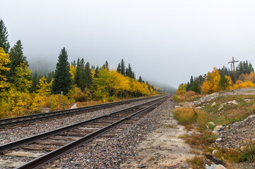 Obraz premium Train tracks in the fall. Colorado mountains. 