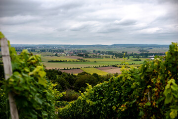 Fototapeta na wymiar View from the autumnal Ipsheim vineyards
