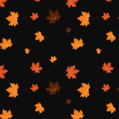 Fototapeta na wymiar Pattern autumn Maple Leaf yellow, orange and brown on a black background