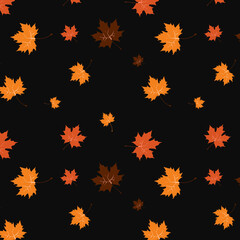 Pattern autumn Maple Leaf yellow, orange and brown on a black background