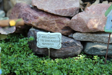 Fairy Garden