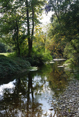 lake in the park