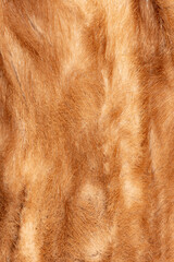 Macro mink stole background texture