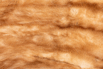 Macro mink stole background texture