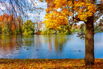 Obraz na płótnie Canvas Autumn foliage and Grand pond in Catherine park, Pushkin (Tsarskoe Selo), Saint Petersburg, Russia