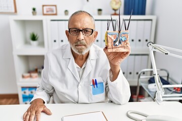 Fototapeta na wymiar Mature doctor man holding model of human anatomical skin and hair thinking attitude and sober expression looking self confident