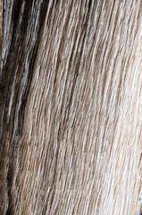 Wood Grain