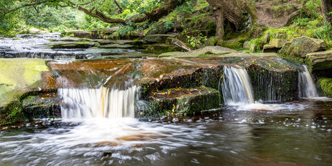 Fototapeta na wymiar Small waterfalls over rocks in a woodland stream