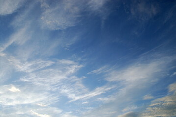 Obraz premium Snow-white clouds on a blue sky background. On a summer day, feathery fluffy clouds of various shapes and sizes slowly float across the light blue sky.