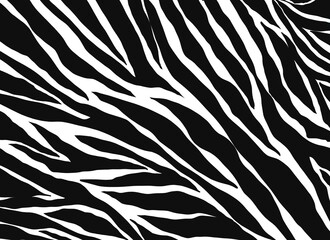 zebra pattern. Animals nature  background