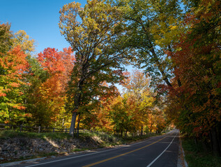 Autumn street or road or lane with colorful leaves and blue sky on a sunny morning. The asphalt highway and wooden fence are mostly shadded by the tall trees.