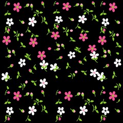 Fototapeta na wymiar flowers pattern with leaves and background spring and winter design
