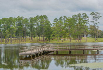 Fototapeta na wymiar View of Geiger Lake in the wilderness of Pine Belt Region of Hattiesburg, Mississippi