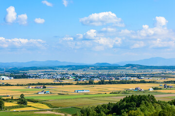 Obraz premium 萌の丘 素晴らしい道央の穀倉地帯を望む