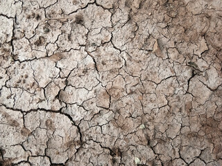 The ground has cracks in the top view for the background