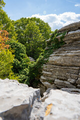 Steinwald bei der Vikosschlucht im Pindosgebirge in Griechenland