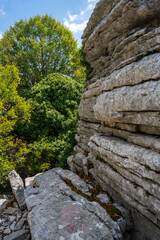 Steinwald bei der Vikosschlucht im Pindosgebirge in Griechenland