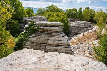 Steinwald bei der Vikosschlucht im Pindosgebirge in Griechenland