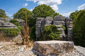 Steinwald bei der Vikosschlucht im Pindosgebirge in Griechenland