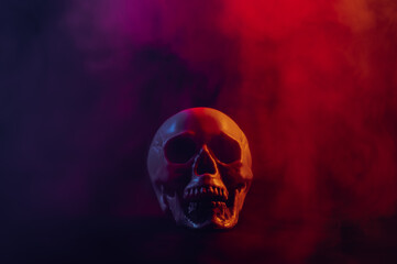 Human skull in pink and blue smoke on a black background. Halloween.