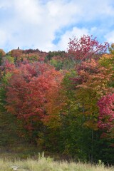 The Laurentides region of Quebec